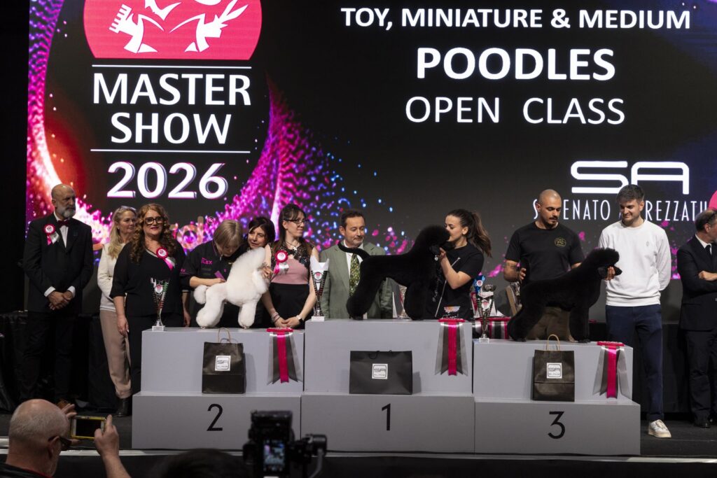 Podio classe Barboni Toy, Nani e Medi Libera al Master Show 2026